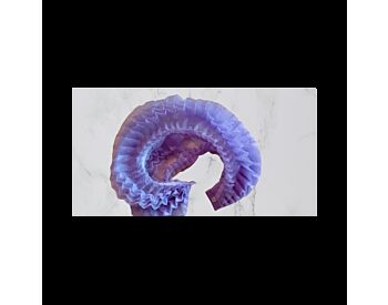 Engangs h&aring;rnett Nonwoven Plissert 100 stk (lila)