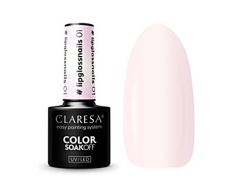 #Lipglossnails 01 5g CLARESA